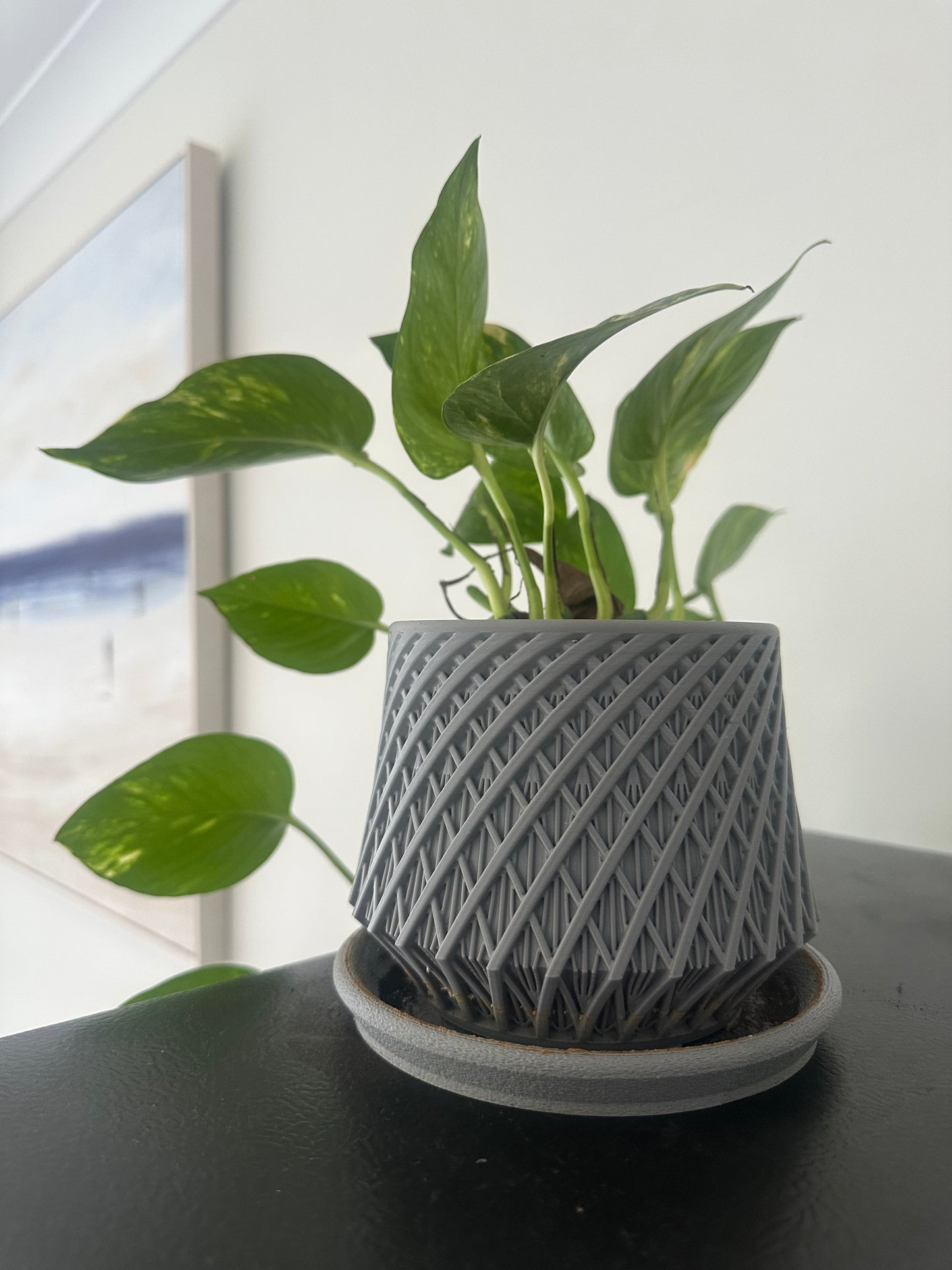[LIMITED] Modern Textured Planter Pot with Drip Tray
