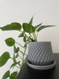 [LIMITED] Modern Textured Planter Pot with Drip Tray