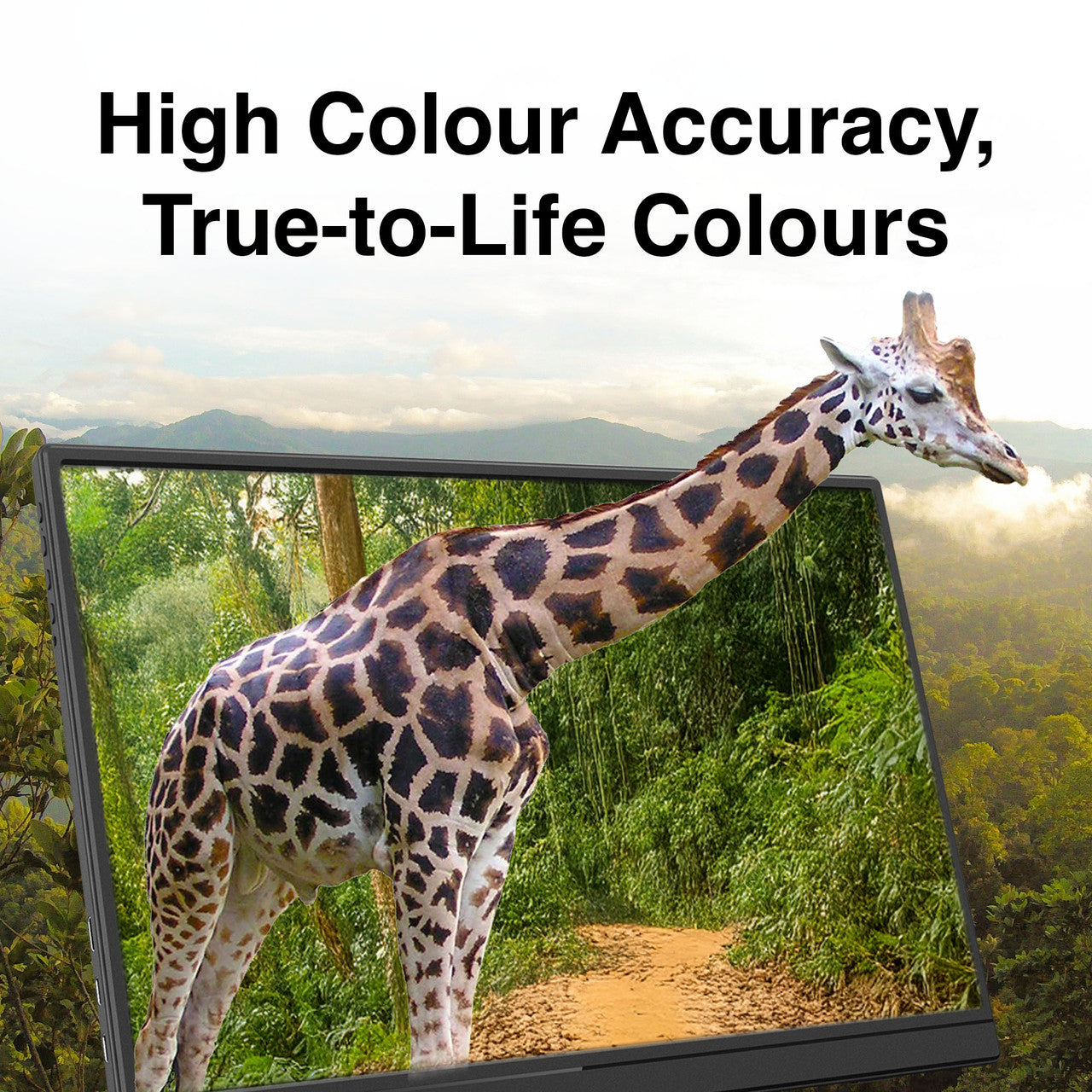 Laser 14 inch USB-C Portable Display