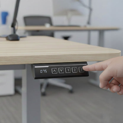 FORTIA Sit To Stand Standing Desk, 120x60cm, 72-118cm Electric Height Adjustable, Light Oak Style Desktop Silver Frame