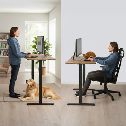 FORTIA Sit to Stand Standing Desk, 160x60cm, 72-118cm Electric Height Adjustable, Walnut Style Desktop/Black Frame