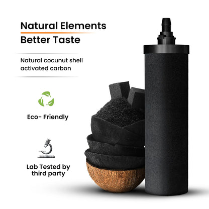 Phoenix Smart Carbon Cartridges