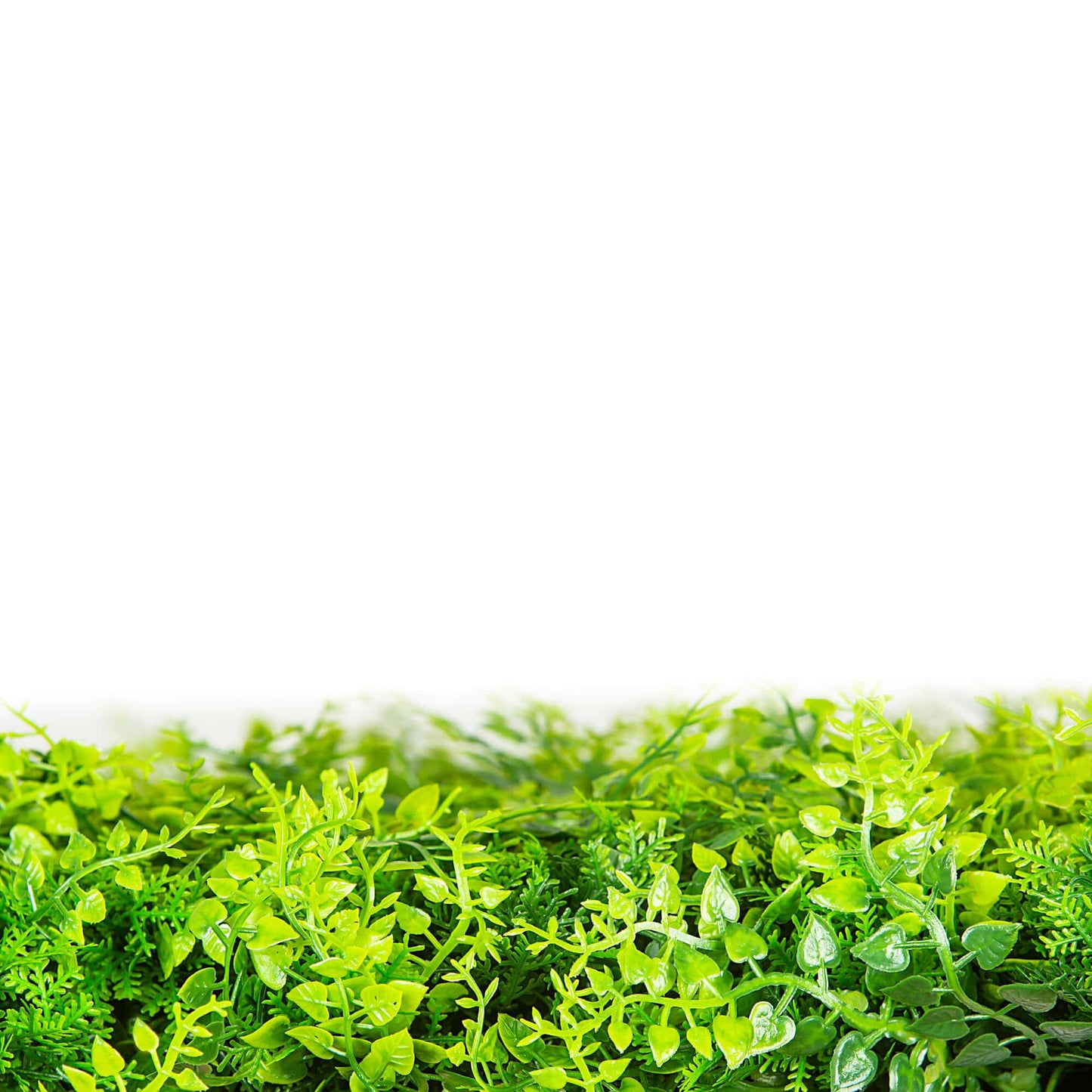 Mediterranean Fern Vertical Garden / Green Wall UV Resistant SAMPLE