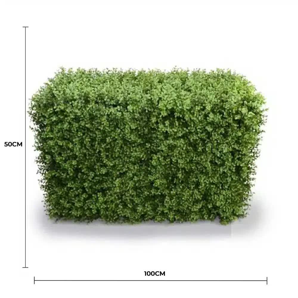 Deluxe Portable Buxus Hedge UV Resistant 100cm Long x 50cm High