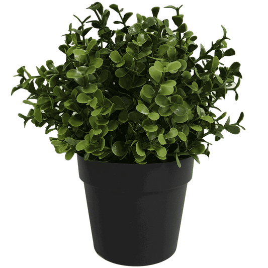 Small Potted Artificial Buxus Plant UV Resistant 20cm