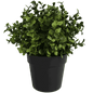 Small Potted Artificial Buxus Plant UV Resistant 20cm