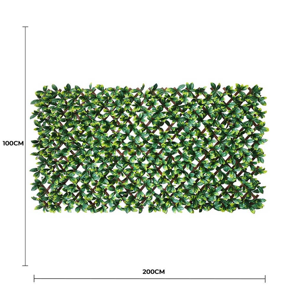 Premium Laurel Leaf Artificial Hedge Extendable Trellis / Screen 2 Meter By 1 Meter UV Resistant (PVC)