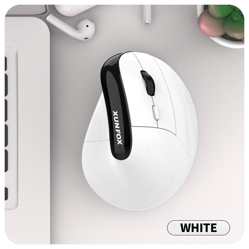 Two Ergonomic Vertical Wireless Mouse - Dual Mode (2.4G & Bluetooth), 5 Adjustable DPI, Silent Clicks, Rechargeable(white)