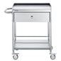 VEVOR Medical Cart, 2 Layer stainless Steel Cart100 kg Weight Capacity Utility Cart Silent Wheels and a Drawer for Lab, Clinic, kitchen, Salon