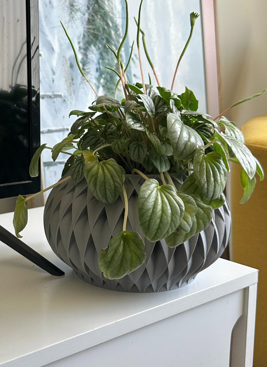 Modern Decorative Plant with Textured Pot